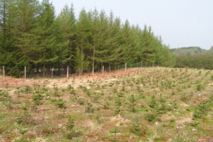 Unge nobilis på Lindenborg