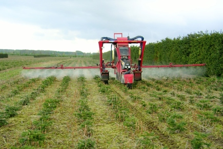 Portaltraktor med sprøjtebom i en ung nordmannsgrankultur