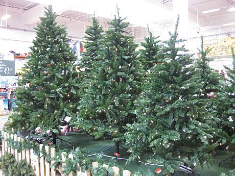 Fake trees in display