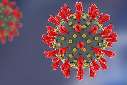 Juletræssalg og Corona