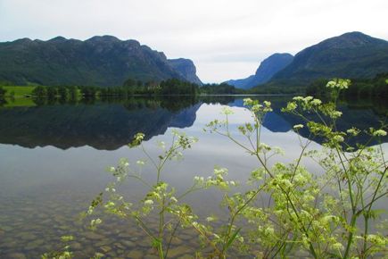 CTGCE sommermøde i Norge 2022