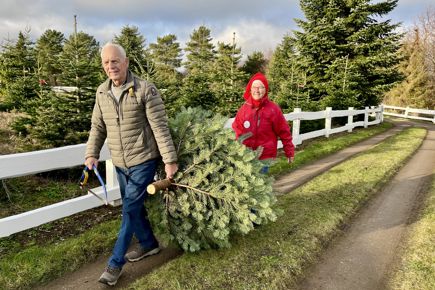 Danskerne holder fast i duften af gran