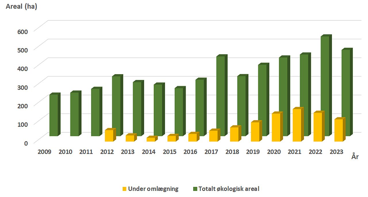 Økologiskareal med juletræer i 2023